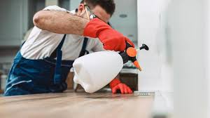 Best Residential Pest Control  in Wildwood, TN